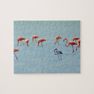 Grijze en roze vlam in het meer legpuzzel