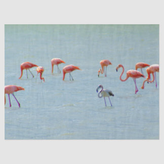 Grijze en roze vlam in het meer tissuepapier