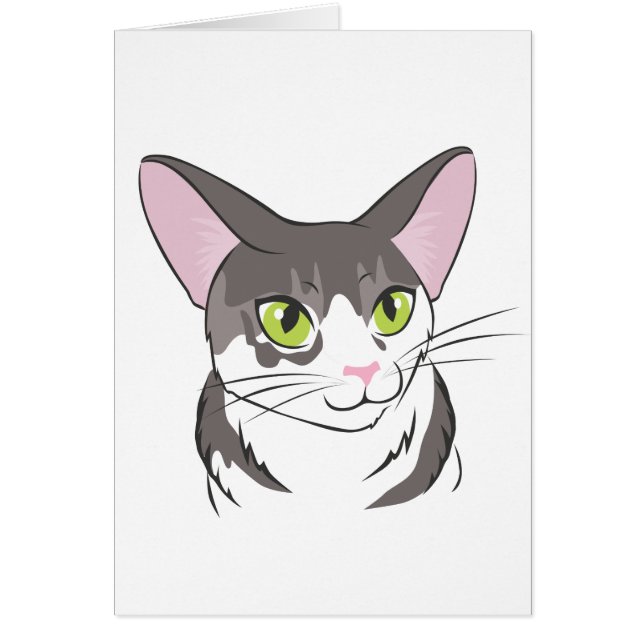 Grijze en witte kat (Voorkant)