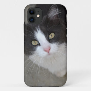  grijze en witte kat Case-Mate iPhone case