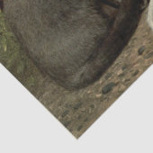 Grijze en witte kat Ephemera Decoupage Tissuepapier (Detail)