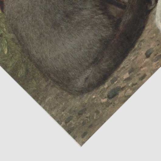 Grijze en witte kat Ephemera Decoupage Tissuepapier (Detail)