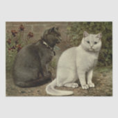 Grijze en witte kat Ephemera Decoupage Tissuepapier (Voorkant)