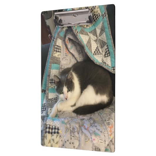 Grijze en witte kat klembord (Links)