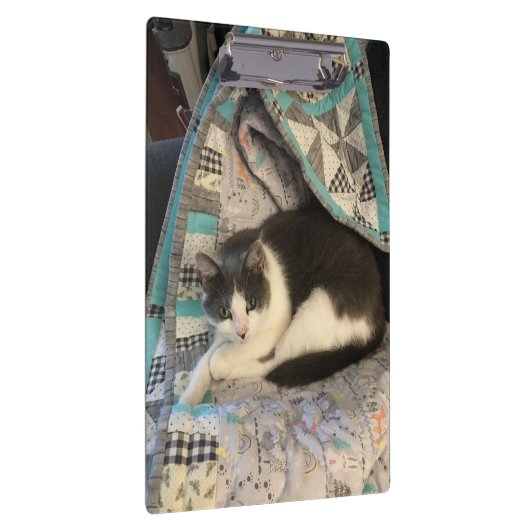 Grijze en witte kat klembord (Rechts)