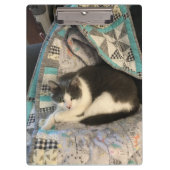 Grijze en witte kat klembord (Voorkant)