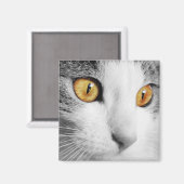 Grijze en Witte Kat Magneet (Voorkant / Achterkant)