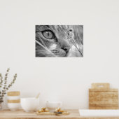 grijze en witte kat op een grasveld poster (Keuken)