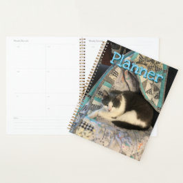 Grijze en witte kat planner