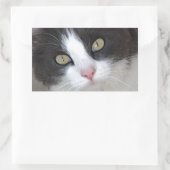 grijze en witte kat rechthoekige sticker (Tas)