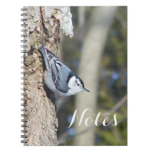 Grijze en witte naadvogel notitieboek