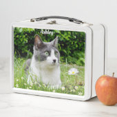 Grijze en witte Tuxedo Cat Aangepaste foto (In situ)