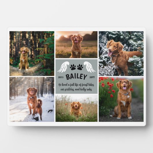 Grijze Engel Vleugels & Hond Paws Memorial Fotocol Fotoplaat (voorkant)