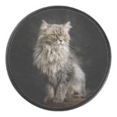 Grijze Fluffy Kat Hockey Puck (Voorkant)