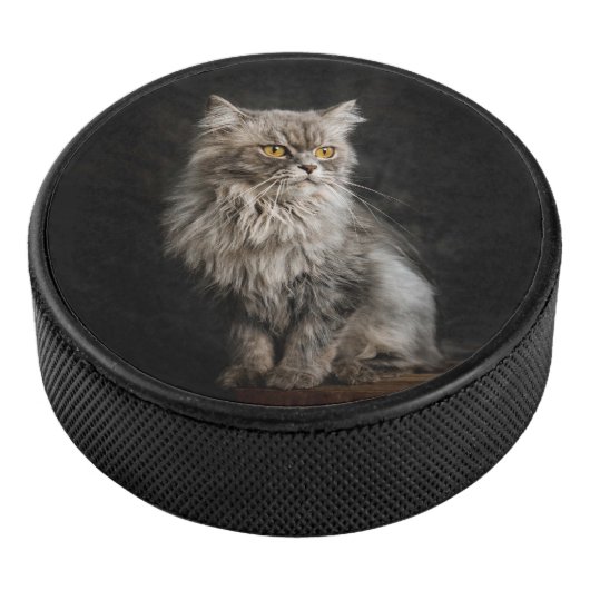 Grijze Fluffy Kat Hockey Puck (3/4)