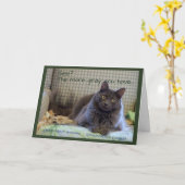 Grijze Fluffy Kat op Stoel Kaart (Gele Bloem)