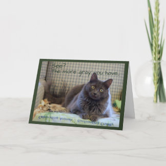 Grijze Fluffy Kat op Stoel Kaart