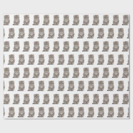 Grijze fluffy Kitten op wit Cadeaupapier (Vlak)