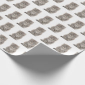 Grijze fluffy Kitten op wit Cadeaupapier (Hoek)