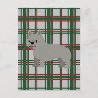 Grijze Franse Bulldog, Kerst Plaid