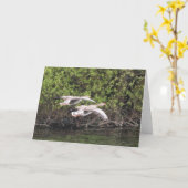 Grijze ganzen vogel kaart (Gele Bloem)