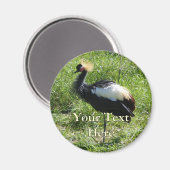 Grijze gekroonde kraanmagneet magneet (Voorkant / Achterkant)