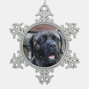 grijze getijgerd van rietcorso tin sneeuwvlok ornament
