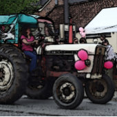 Grijze gisttrekker Legpuzzel