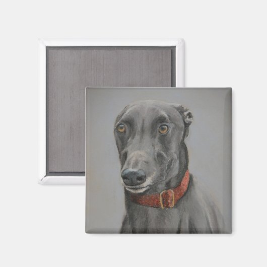 Grijze Greyhound Hond Art Magnet (Voorkant / Achterkant)