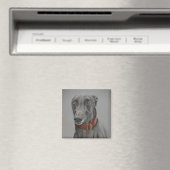Grijze Greyhound Hond Art Magnet (Insitu (Vaatwasser))