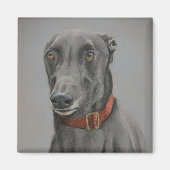Grijze Greyhound Hond Art Magnet (Voorkant)