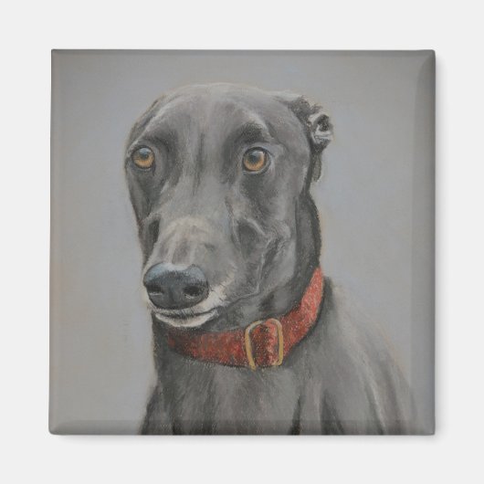 Grijze Greyhound Hond Art Magnet (Voorkant)
