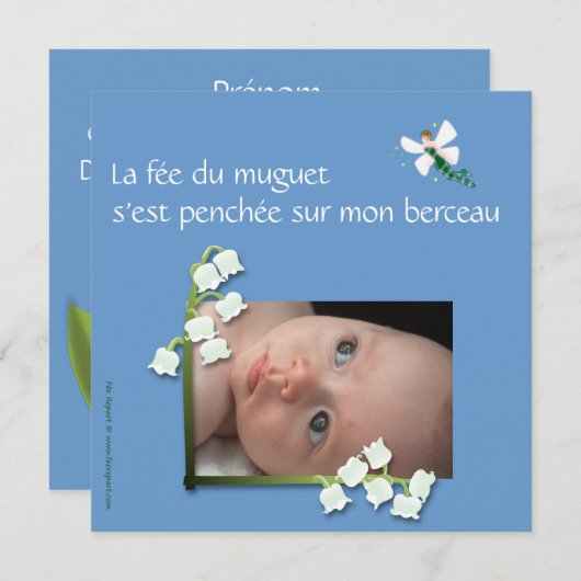 Grijze grijze blauwe haard aankondiging (Voorkant / Achterkant)