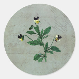Grijze Groen met Botanische Violas Ronde Sticker