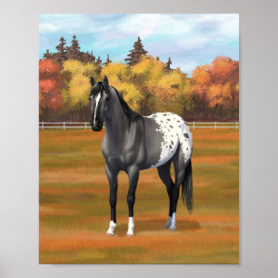 Grijze Grulla Appaloosa Quarter Horse Hengst Poster