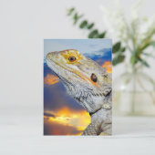 Grijze hagedis bij zonsondergang kaart (Staand voorkant)