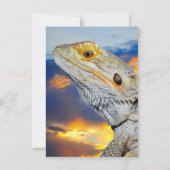 Grijze hagedis bij zonsondergang kaart (Achterkant)