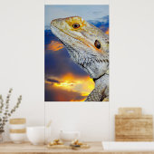 Grijze hagedis bij zonsondergang poster (Keuken)