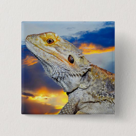 Grijze hagedis bij zonsondergang vierkante button 5,1 cm (Voorkant)