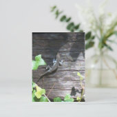 grijze hagedis op een ivoren muur briefkaart (Staand voorkant)