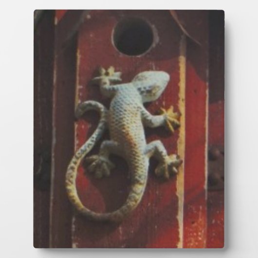 grijze hagedis op versleten hout fotoplaat (Voorkant)