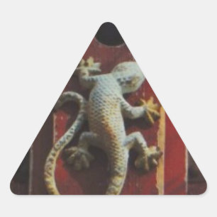 grijze hagedis op versleten hout sticker