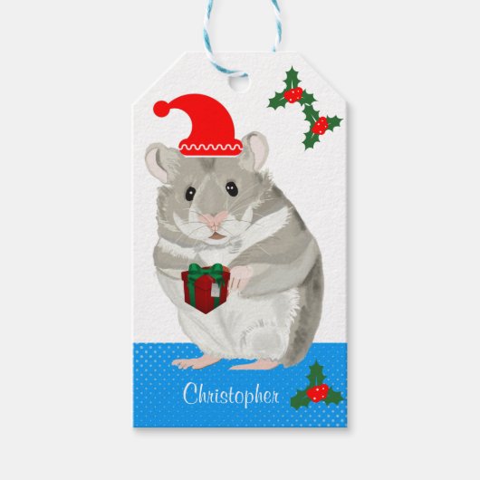 Grijze Hamster jongens gepersonaliseerd Kerstmis Cadeaulabel (Voorkant)