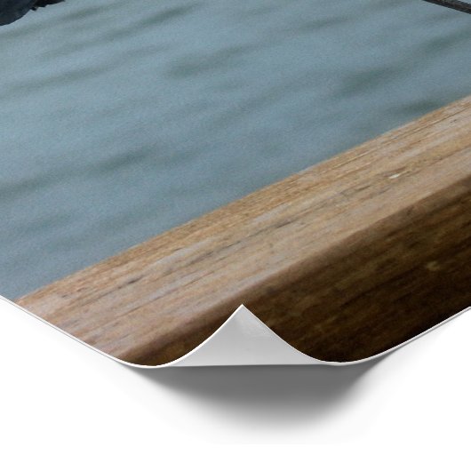 grijze haron op de pier poster (Hoek)