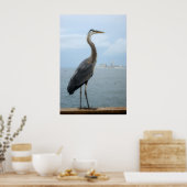 grijze haron op de pier poster (Keuken)