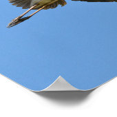 Grijze haron tijdens de vlucht poster (Hoek)