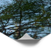 Grijze haronvogel die aan de top van een boom aank poster (Hoek)