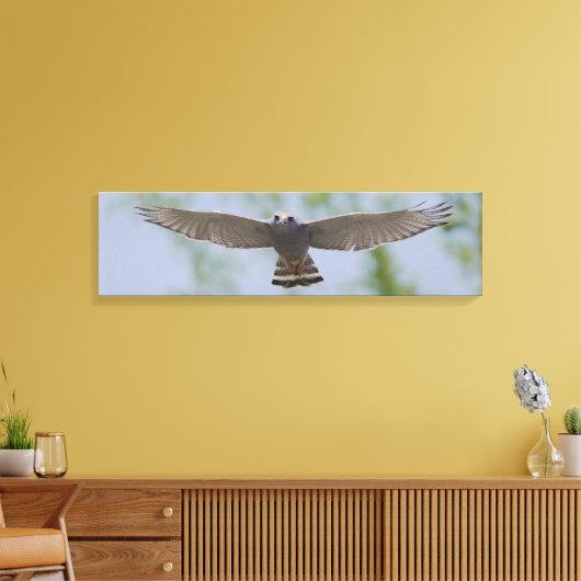 Grijze Hawk op een vreedzaam vliegcanvas Canvas Afdruk (Insitu (Woonkamer))