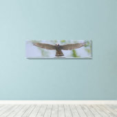 Grijze Hawk op een vreedzaam vliegcanvas Canvas Afdruk (Insitu (Houten vloer))