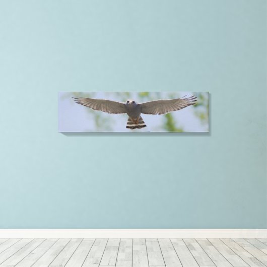Grijze Hawk op een vreedzaam vliegcanvas Canvas Afdruk (Insitu (Houten vloer))